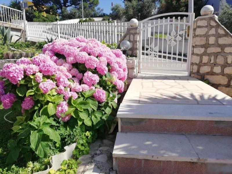 Apartment Cactus Donji Okrug  Екстер'єр фото