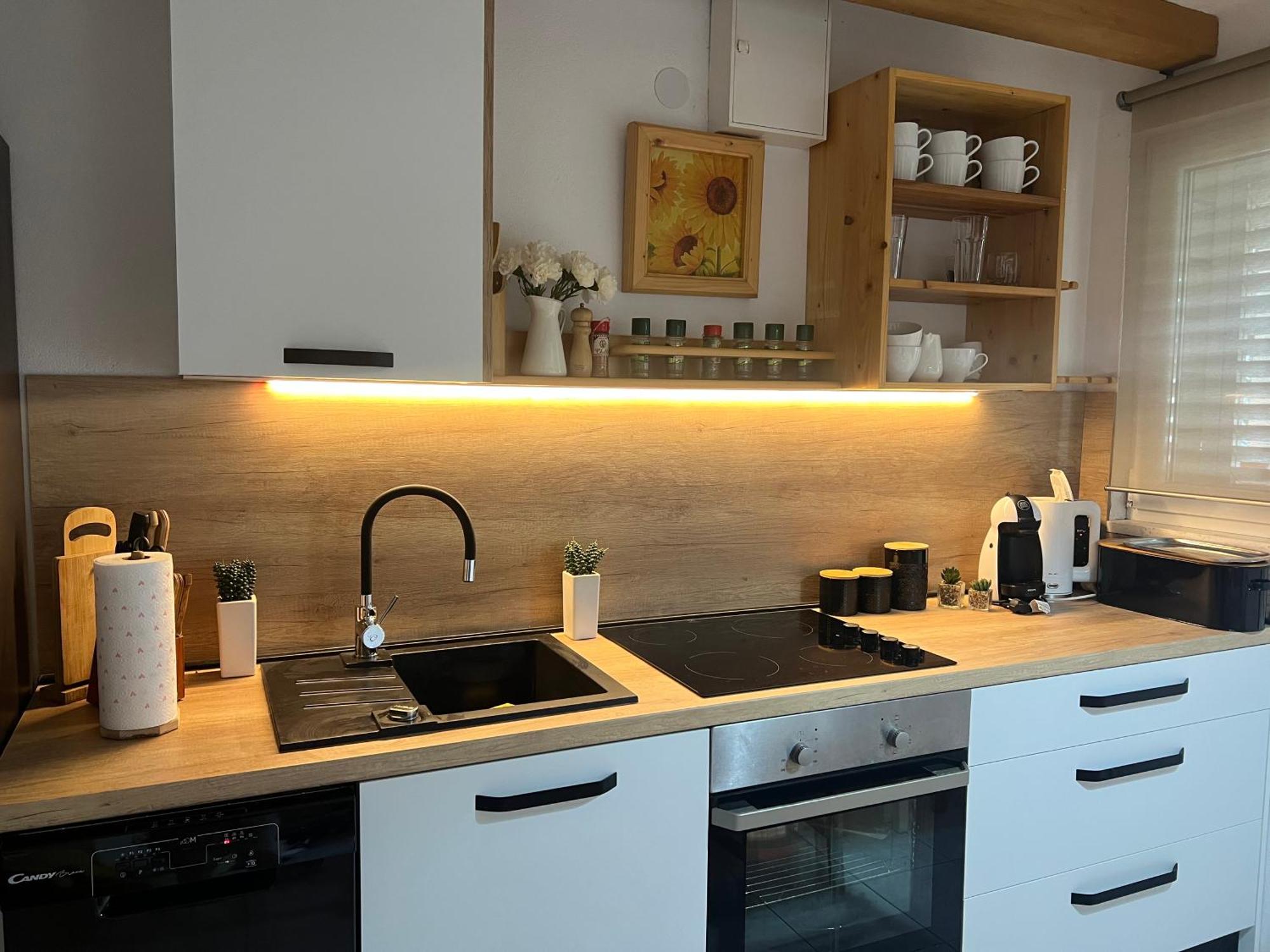 Apartment Cactus Donji Okrug  Екстер'єр фото