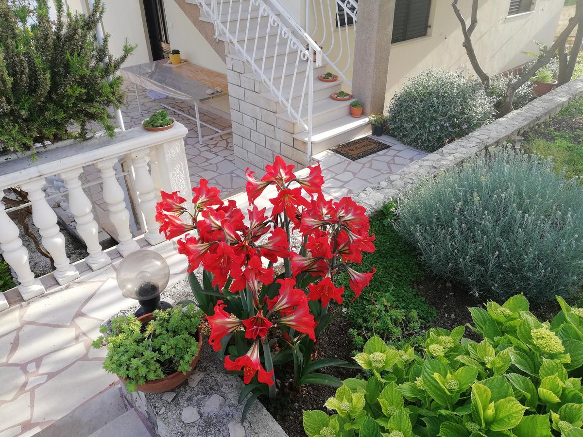 Apartment Cactus Donji Okrug  Екстер'єр фото